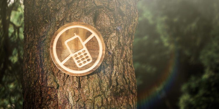 Digital Detox1